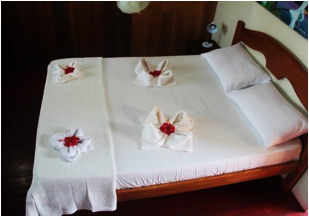 Amazon Turtle Lodge Careiro Екстериор снимка